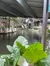 Under the Bridge