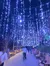 Christmas Lights