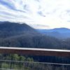 Smokies Views