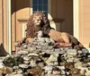 Lion and Lamb Photo