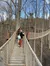 SkyBirdge