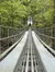 View of the Coaster's Tracks