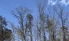 Alpine Coaster Ride