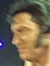 Elvis