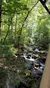Smokies