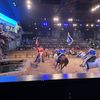 Horses being Ridden in the Arena