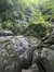 Smoky Mountain Views