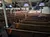 The Auditorium