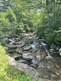 Stream