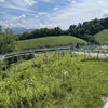 Alpine Coaster