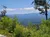 Smokies Views