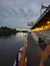 On the Dock