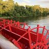 Paddlewheel