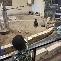Animals at the Aquarium