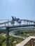 On the Coaster