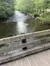 Creek