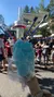 Cotton Candy
