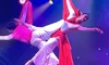 Aerial Artists