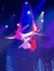 Aerial Artists