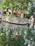 Riverboat Ride