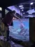 Touch Tank Sting Rays