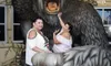 Gorilla Photo Op