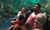 Family at Ripleys Aquarium of the Smokies