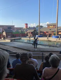 Stage at the Lumberjack Show