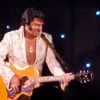 Elvis Performer Performing