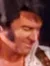 Elvis Performer Performing