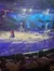 Arena View