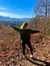Smoky Mountains Scenery