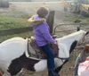 My family and I had a great time riding horses at Goldrush Stables.  The staff were great and made it a great experience.XYZMichael Fallona - Jb Andrews, Maryland
