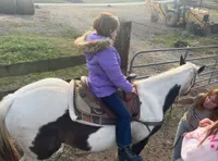 Guest on the Pony Ride