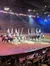 Horses in the Arena