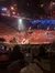 Horses in the Arena