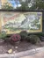 Grand Exposition Map