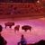 Buffalo in the Arena