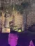 San Antonio River Cruises