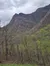 Smokies views