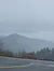 Foggy in the Smokies