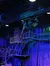 The image shows an indoor setting with whimsical upside-down theming, featuring a house facade, furniture, laundry, and other items suspended from the ceiling, creating an illusion of defying gravity.