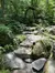 A serene stone pathway winds through a lush green forest, leading towards an arched wooden structure amidst the trees.