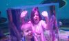 Kids Enjoying Ripleys Aquarium of the Smokeis