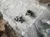Two penguins are seen on a concrete surface near a person's feet, which are partially visible at the bottom of the image, suggesting an observational or interactive exhibit.