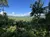 The image shows a verdant forest landscape with rolling hills in the background under a blue sky with scattered clouds.