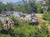 Visitors enjoy a scenic chairlift ride up a lush hill with views of the mountains in the distance.