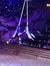 Two performers are executing an aerial silks act in front of an audience, with sparkling lights in the background creating a magical atmosphere.