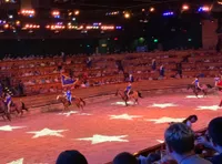 Horses Galloping at Dolly Parton's Stampede Dinner Show Pigeon Forge