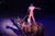 A performer in a red costume and cowboy hat stands on the backs of two horses as part of a show or exhibition.